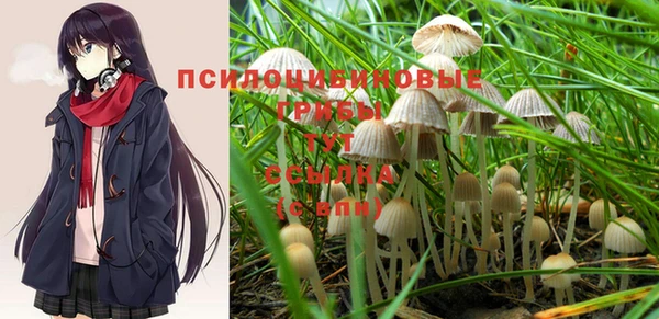 мескалин Балахна