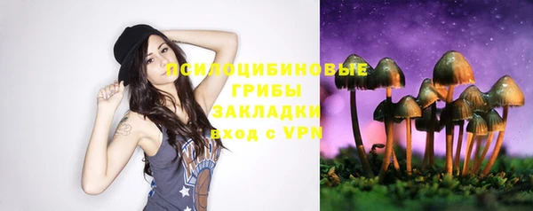 гидропоника Балабаново