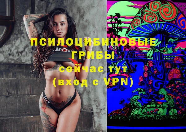 гидропоника Балабаново