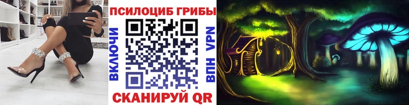 блэк спрут ССЫЛКА  Буй  Галлюциногенные грибы MAGIC MUSHROOMS  как найти закладки 