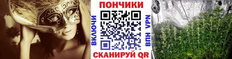 Шишки марихуана тримм  Буй 